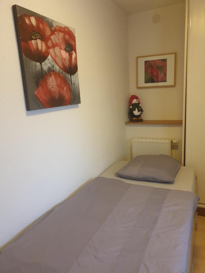 Proche D'europa Park/marches De Noel Apartment Rhinau