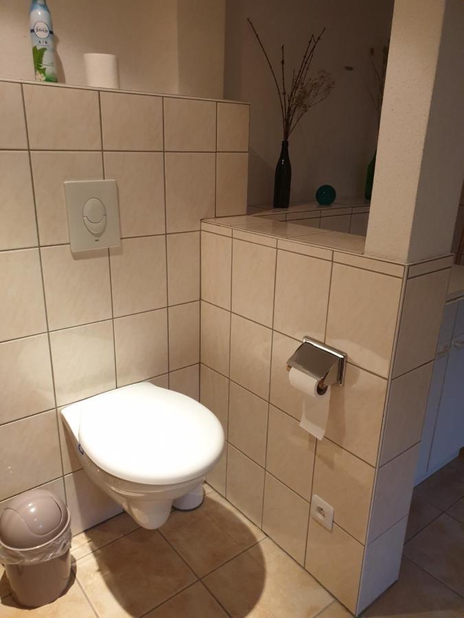 Proche D'europa Park/marches De Noel Apartment *
